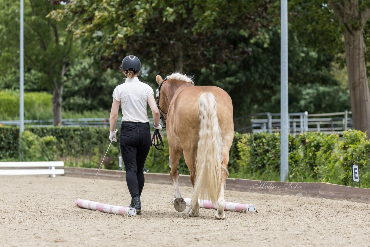 Bild 3 - Pony Akademie Turnier